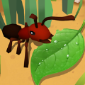 蚂蚁进化3D破解版