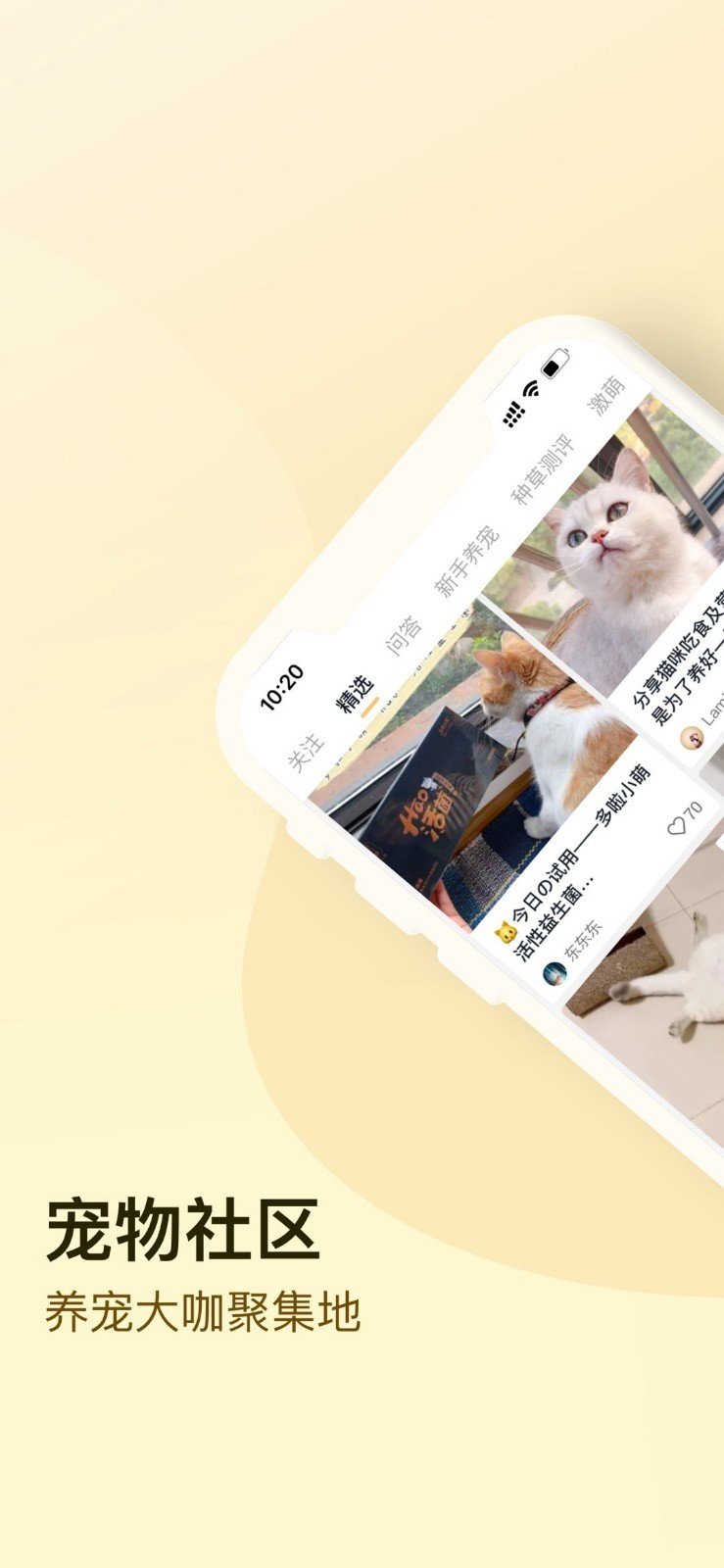 小萌猫宠物社区app手机版
